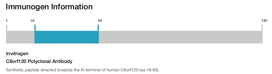 C6orf120 Polyclonal Antibody