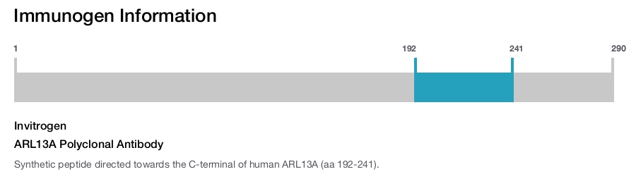 ARL13A Polyclonal Antibody