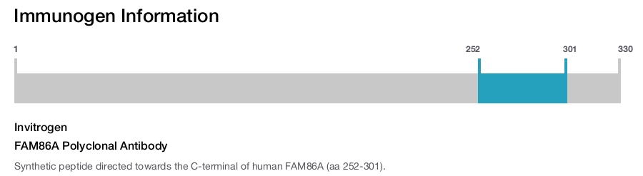FAM86A Polyclonal Antibody