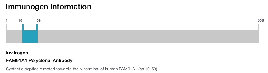 FAM91A1 Polyclonal Antibody