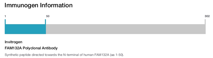 FAM132A Polyclonal Antibody