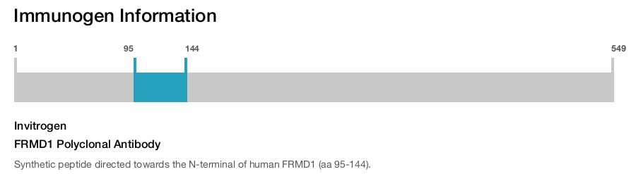 FRMD1 Polyclonal Antibody