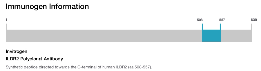 ILDR2 Polyclonal Antibody