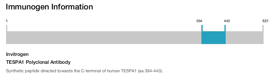 TESPA1 Polyclonal Antibody