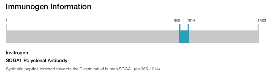 SOGA1 Polyclonal Antibody