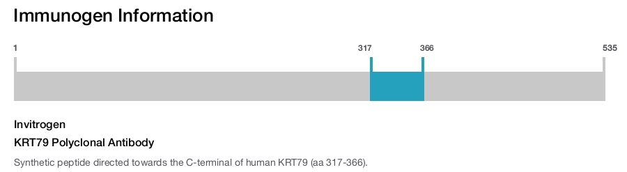 KRT79 Polyclonal Antibody