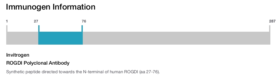 ROGDI Polyclonal Antibody