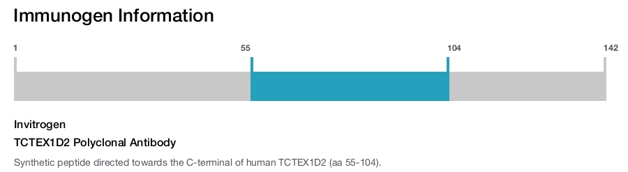 TCTEX1D2 Polyclonal Antibody