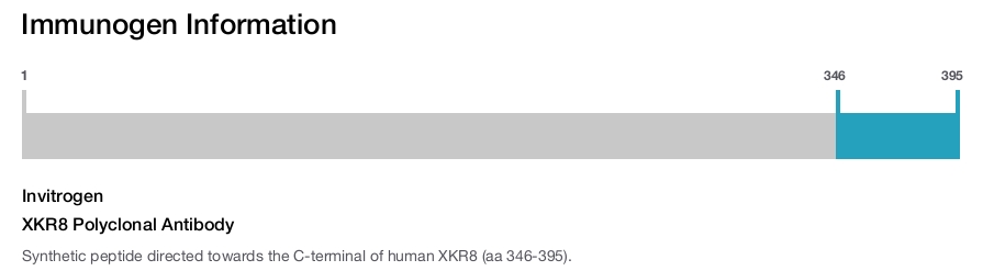 XKR8 Polyclonal Antibody