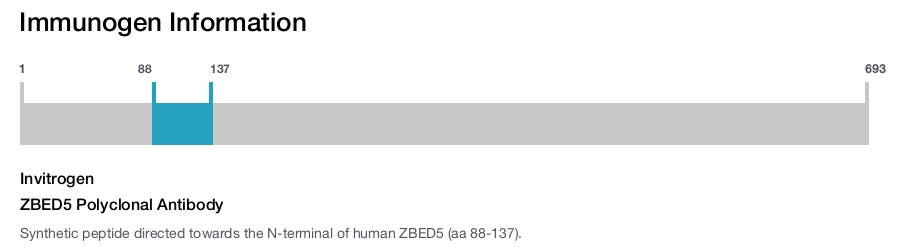 ZBED5 Polyclonal Antibody