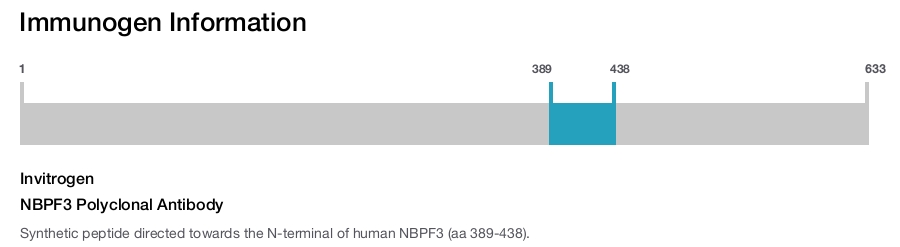 NBPF3 Polyclonal Antibody