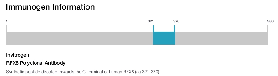 RFX8 Polyclonal Antibody