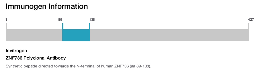 ZNF736 Polyclonal Antibody