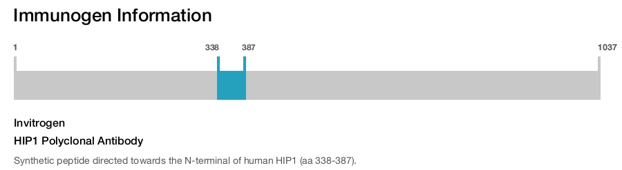 HIP1 Polyclonal Antibody