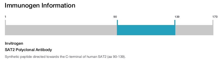 SAT2 Polyclonal Antibody