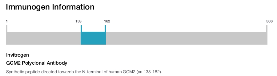 GCM2 Polyclonal Antibody