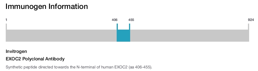 EXOC2 Polyclonal Antibody