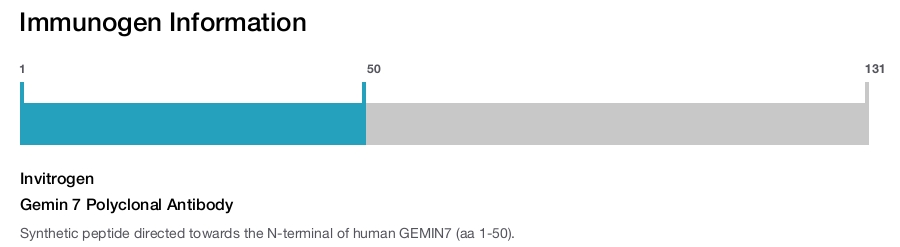 Gemin 7 Polyclonal Antibody
