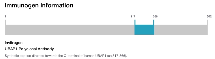 UBAP1 Polyclonal Antibody