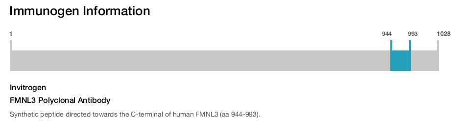 FMNL3 Polyclonal Antibody