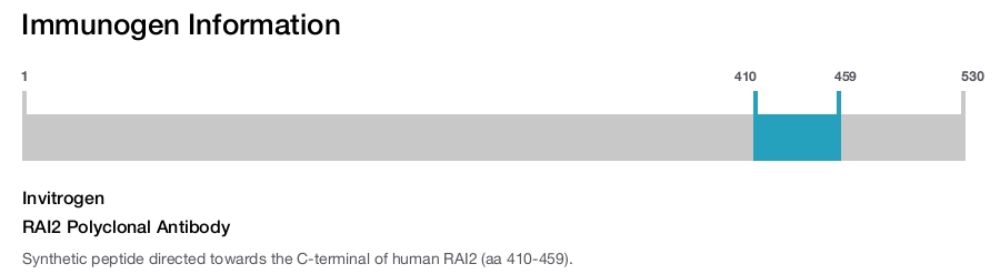 RAI2 Polyclonal Antibody