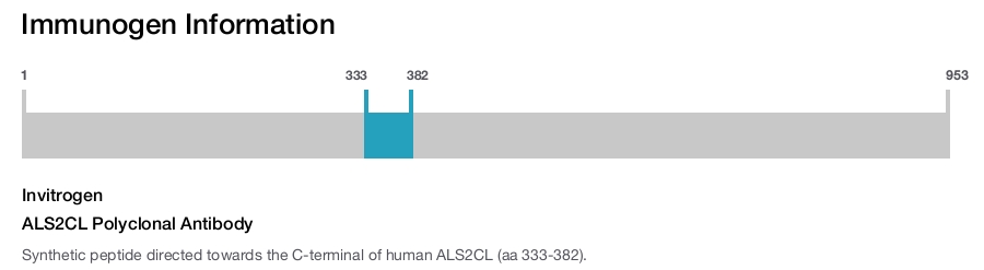 ALS2CL Polyclonal Antibody