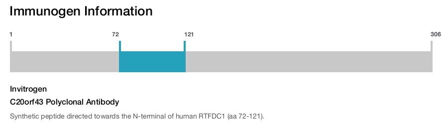 C20orf43 Polyclonal Antibody