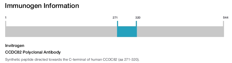 CCDC82 Polyclonal Antibody