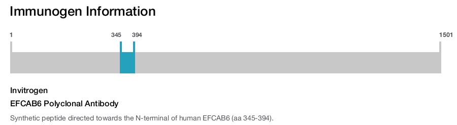 EFCAB6 Polyclonal Antibody