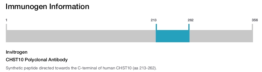 CHST10 Polyclonal Antibody