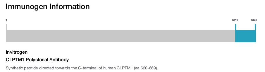 CLPTM1 Polyclonal Antibody