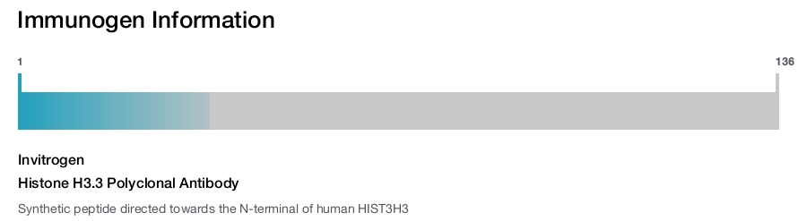 Histone H3.3 Polyclonal Antibody