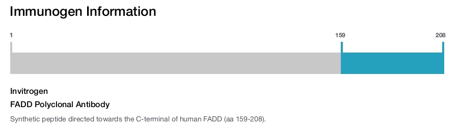 FADD Polyclonal Antibody
