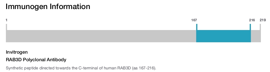 RAB3D Polyclonal Antibody