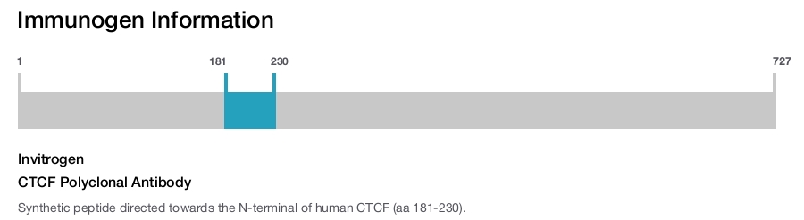 CTCF Polyclonal Antibody
