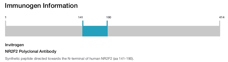 NR2F2 Polyclonal Antibody