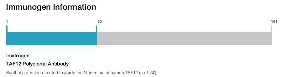 TAF12 Polyclonal Antibody