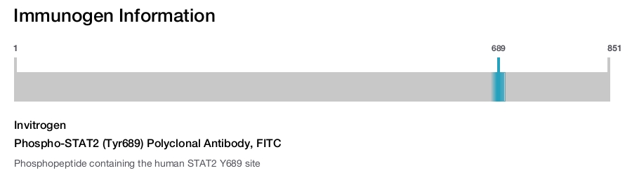 Phospho-STAT2 (Tyr689) Polyclonal Antibody, FITC