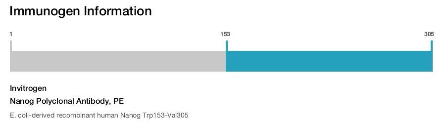 Nanog Polyclonal Antibody, PE