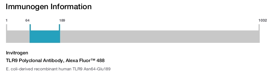 TLR9 Polyclonal Antibody, Alexa Fluor™ 488