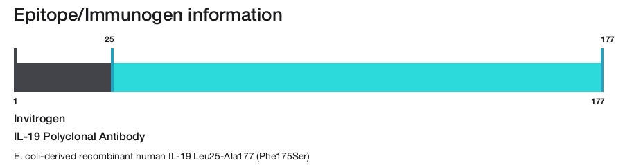 IL-19 Polyclonal Antibody