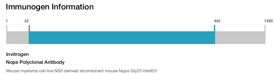 Nope Polyclonal Antibody