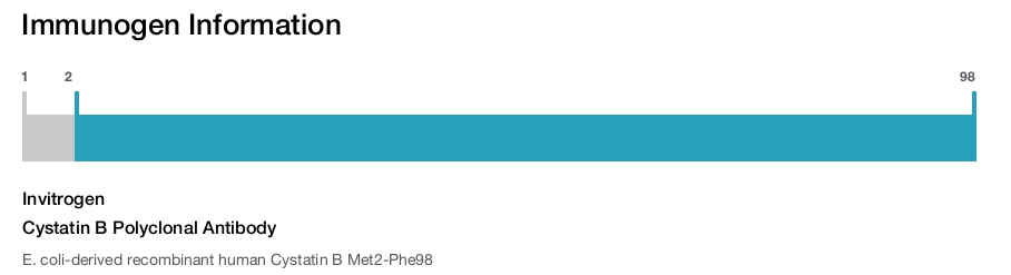 Cystatin B Polyclonal Antibody