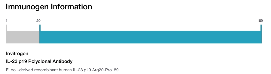 IL-23 p19 Polyclonal Antibody