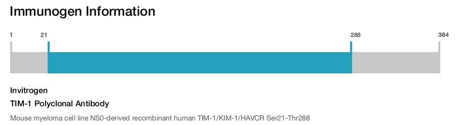 TIM-1 Polyclonal Antibody
