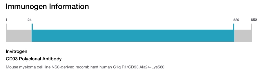 CD93 Polyclonal Antibody