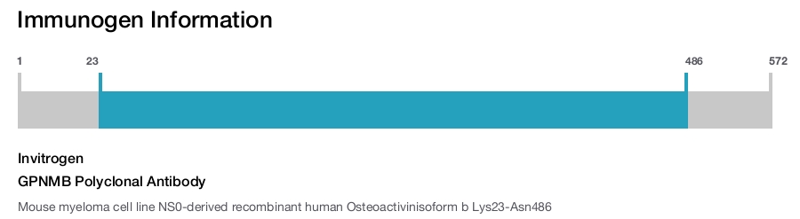 GPNMB Polyclonal Antibody