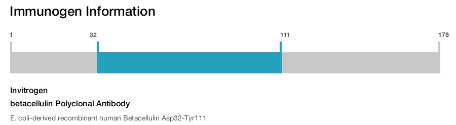 betacellulin Polyclonal Antibody