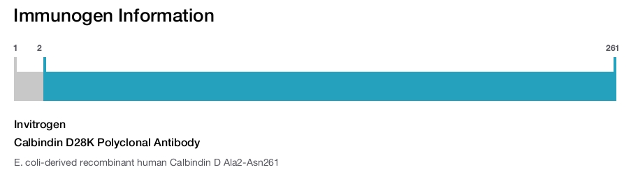 Calbindin D28K Polyclonal Antibody