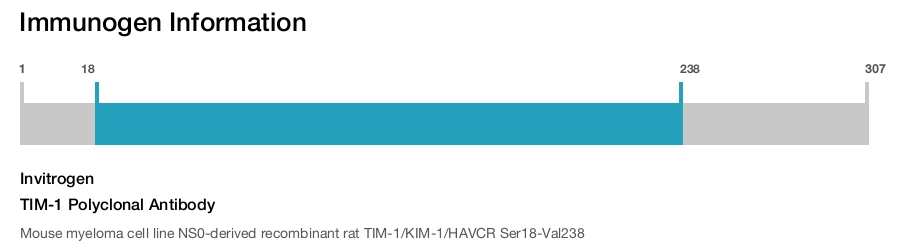 TIM-1 Polyclonal Antibody
